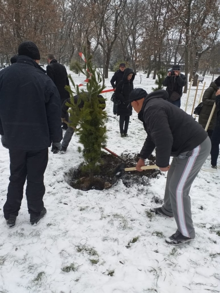 В городском парке Георгиевска высадили профсоюзную поляну 