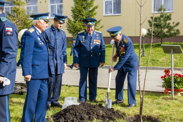 Высадка Аллеи Памяти участников Великой Отечественной войны и павших в Специальной военной операции.