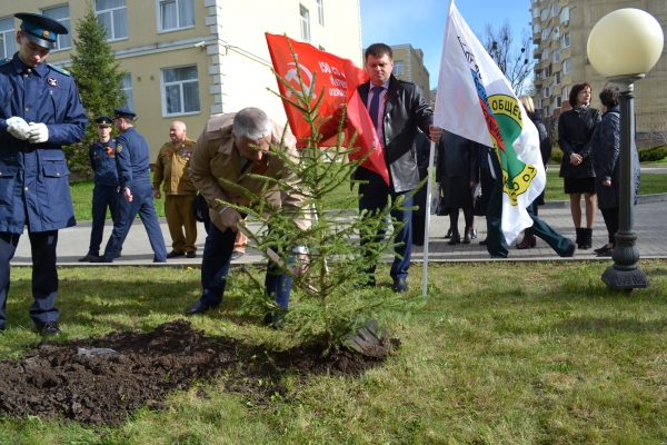 Высадка Аллеи Памяти участников Великой Отечественной войны и павших в Специальной военной операции.